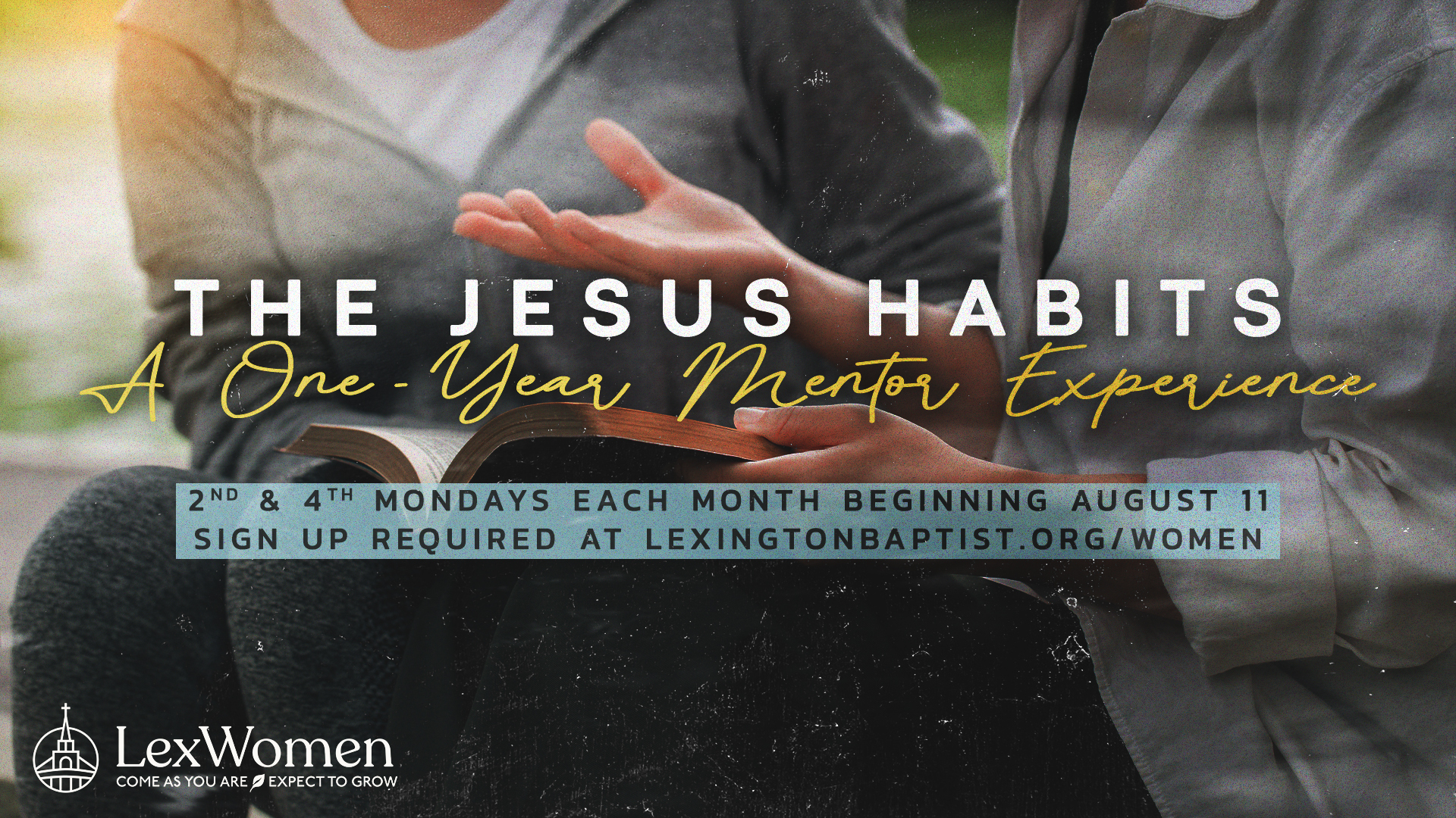 The Jesus Habits The Jesus Habits